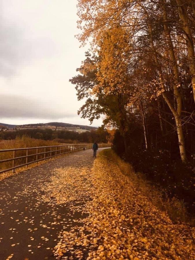 Apartmany Srub Jenisov Horní Planá Eksteriør bilde