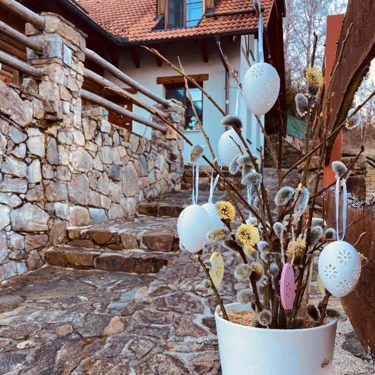 Apartmany Srub Jenisov Horní Planá Eksteriør bilde