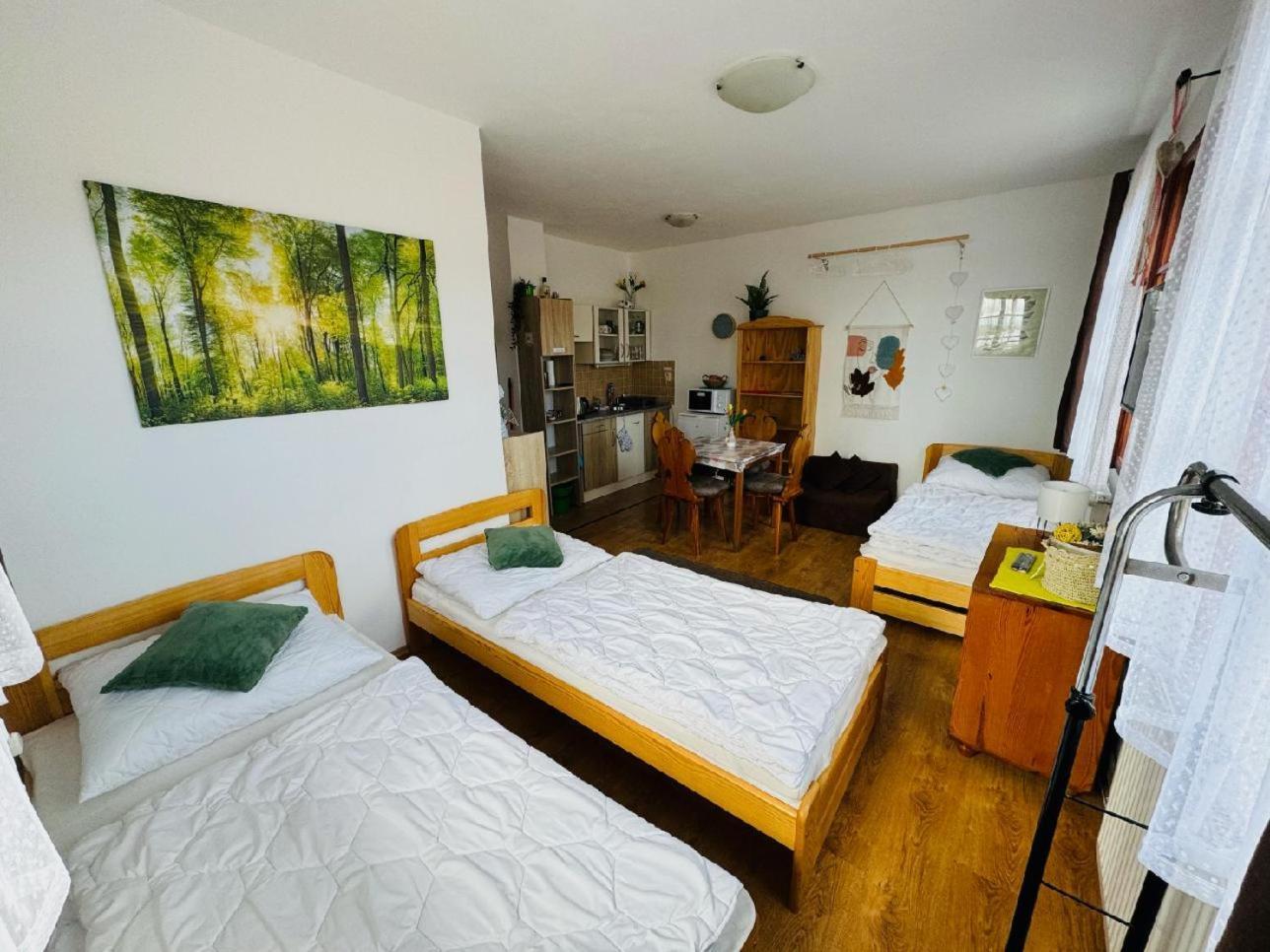Apartmany Srub Jenisov Horní Planá Eksteriør bilde